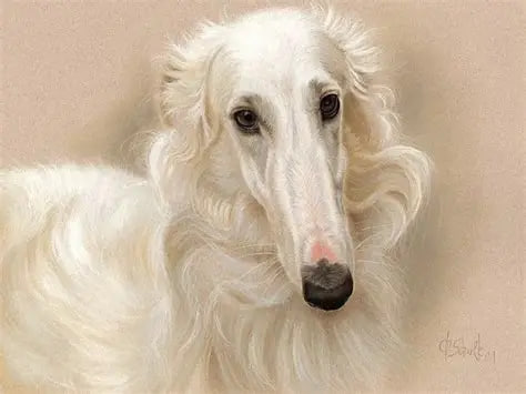 Best portrait category dog photo